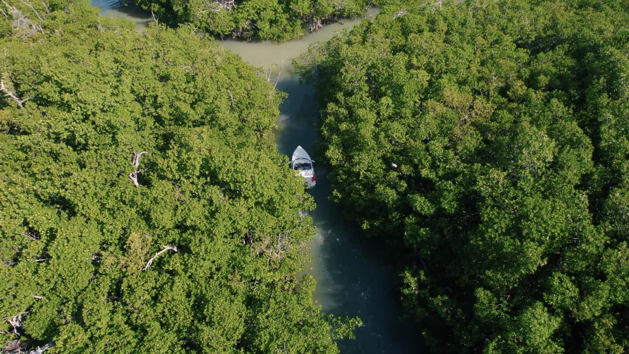 vista aérea siguiendo a un bote a motor moviéndose a través del bosque de manglares en los canales de agua de la riviera maya, méxico creando una estela en el agua del río oceánico