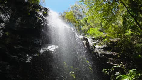 corriente de agua del parque nacional springbrook a cascadas, costa dorada, queensland, australia