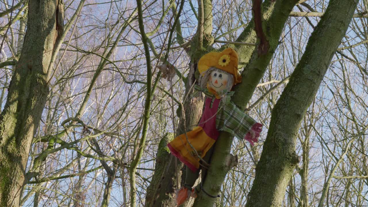 Scarecrow in trees on a sunny day in Bilingford Lake area