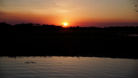 Cálida-Silueta-Al-Atardecer