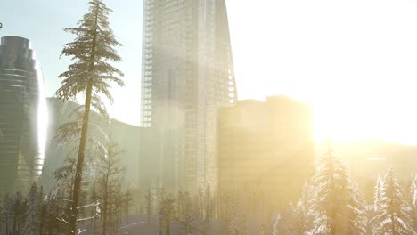 city and forest in snow