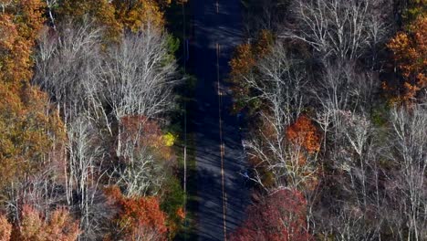 Una-Vista-Aérea-De-Arriba-Hacia-Abajo-Sobre-Una-Tranquila-Carretera-Rural-Con-árboles-Coloridos-A-Ambos-Lados-En-Un-Día-Soleado-De-Otoño