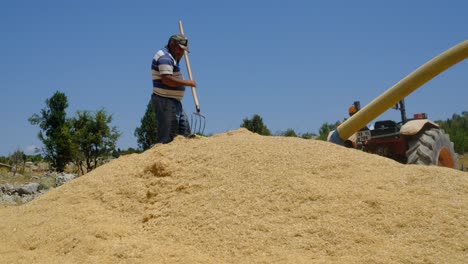 Hay-sprayer-adult-farmer