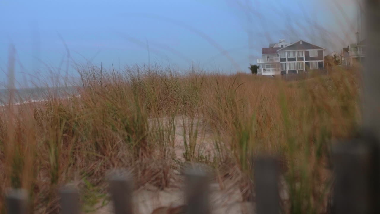 Recinzione sulla spiaggia con erba che cresce nelle dune di sabbia, Rack Focus, Slow Motion