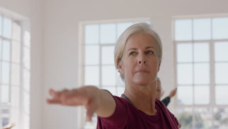 portrait yoga class beautiful old woman exercising healthy meditation practice warrior pose enjoying group physical fitness workout in studio