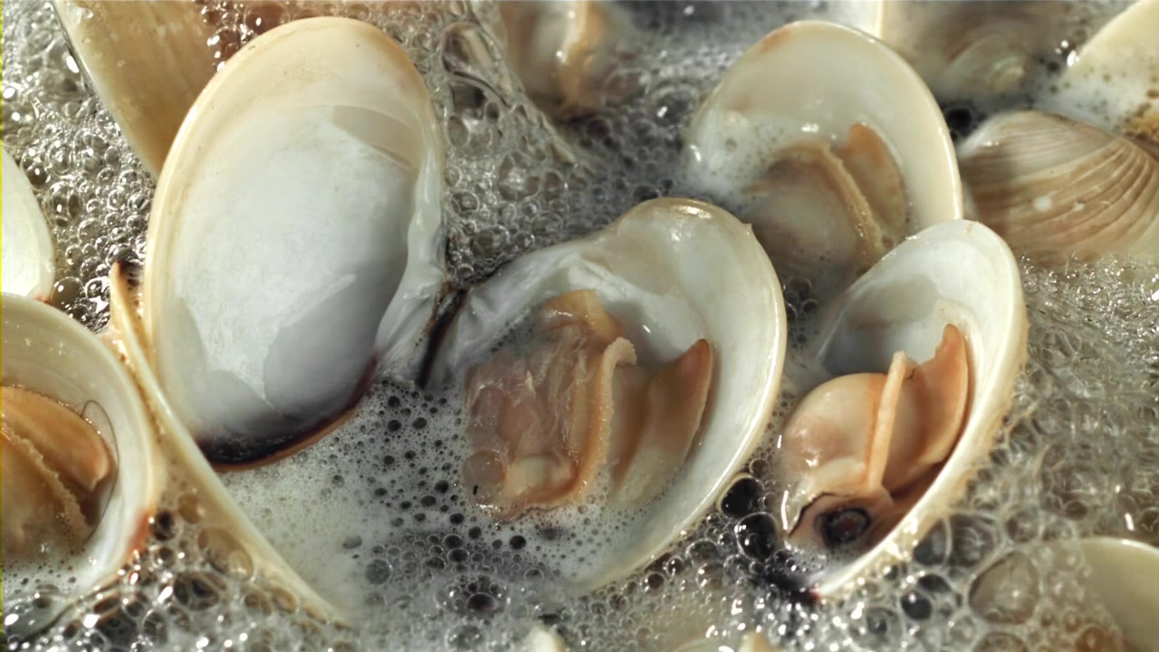 Fresh Clams Cooking and Opening in Boiling Water