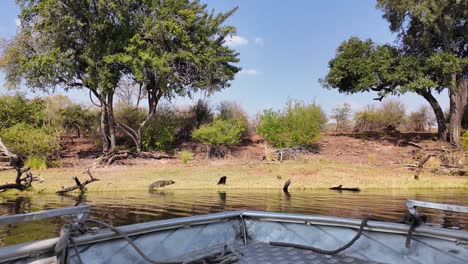 Kreuzfahrt-Safari-Skyline-Im-Chobe-Nationalpark-In-Kasane,-Botswana