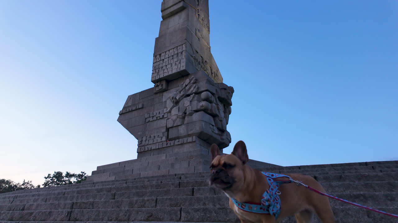 A cute French Bulldog dog on a leash stands proudly on the stone steps leading up to the historic Westerplatte Monument