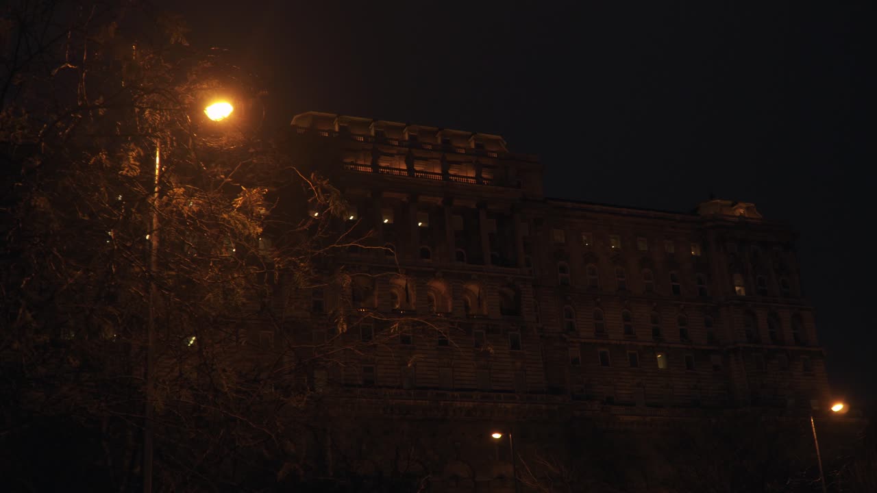 The Hungarian Parliament Building In Budapest With Trees And Lights During Nighttime - Close Up Shot