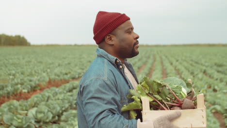 african american farmer walking with box of vegetables through field