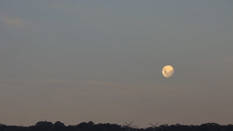 full moon timelapse moving higher into the sky during dusk evening light.