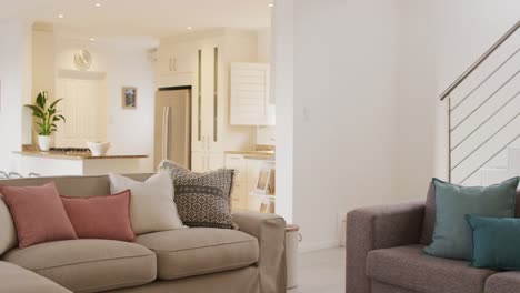 General-view-of-living-room-and-kitchen-interior-with-sofa