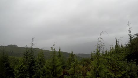 在溫哥華島的雲端時間延遲