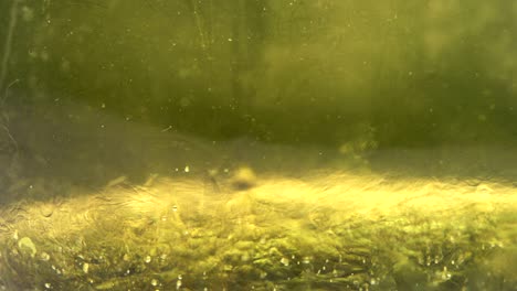 flujo de gel líquido