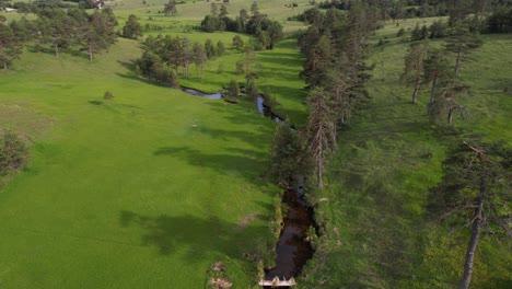 Aerial View of Idyllic Mountain Landscape, Creek, Meadows and Village Buildings, Drone Shot