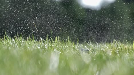 Der-Golfschläger-Schlägt-In-Superzeitlupe-Auf-Einen-Golfball.-Nach-Dem-Aufprall-Steigen-Morgentautropfen-Und-Graspartikel-In-Die-Luft.