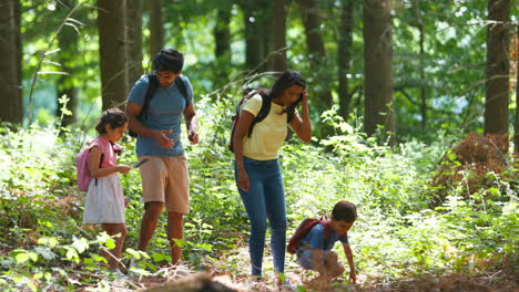 Familia-Con-Mochilas-Caminando-O-Caminando-Por-El-Campo-Boscoso-De-Verano