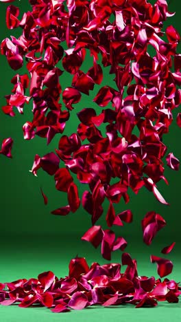 falling rose petals on green background