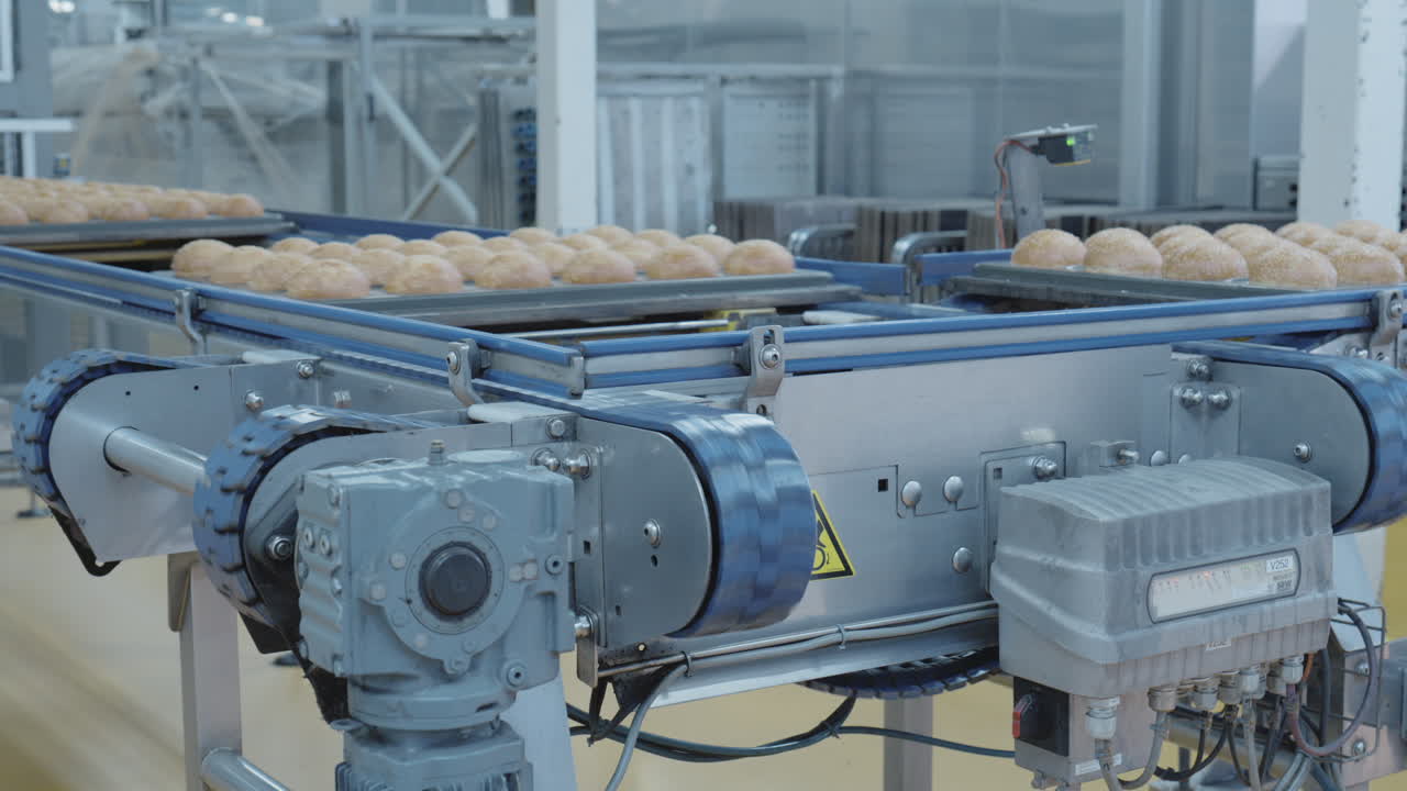 Buns on a conveyor belt in a food factory