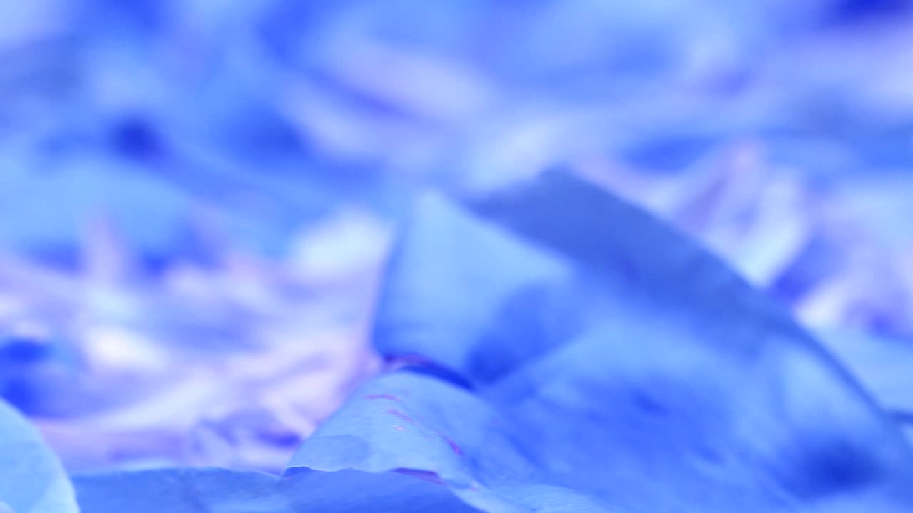 피오니 추상 파란색 배경, 극단적 인 클로즈업, 측면 뷰, 루프 모션, 회전 360.