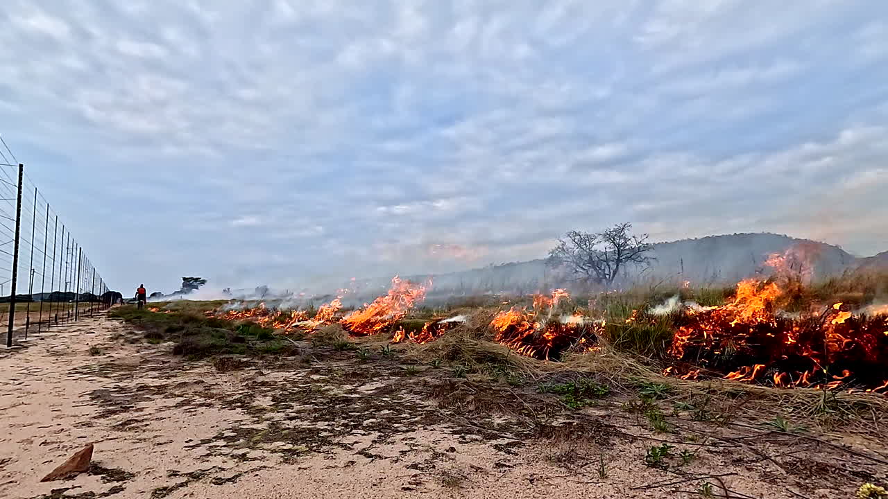 Firefighter tackles wildfire head-on using ground-level ignition tool