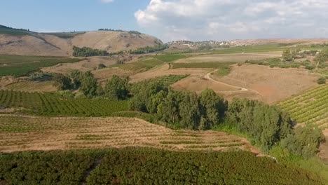 Beautiful-scenic-overview-of-a-vineyard-country-landscape-with-beautiful-cloudy-skies-and-hills-in-the-distance