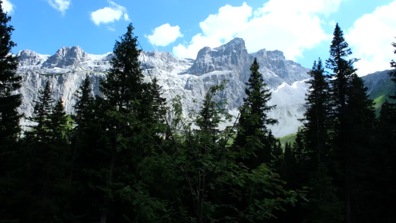 Close-up of a lush alpine meadow filled with blooming wildflowers in purple, yellow, and white, swaying gently in the breeze on a summer day.