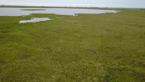 Wetlands-of-northeast-Argentina-shooted-with-drone