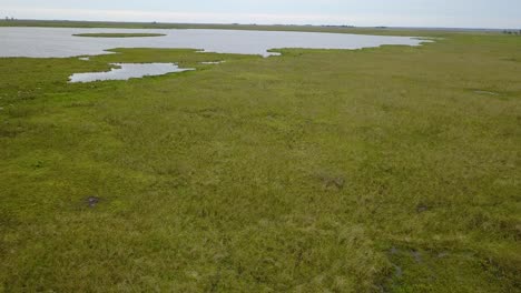 wetlands of northeast argentina shooted with drone