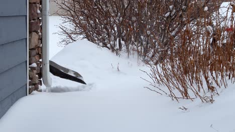 Den-Schnee-Aus-Einer-Rutschigen-Ecke-Räumen