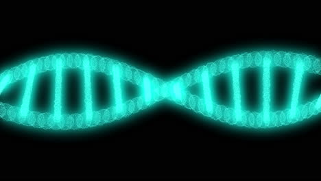 dna structure