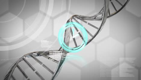 Animation-Einer-Tickenden-Neonuhr-Und-Sich-Drehender-DNA-Und-Chemischer-Strukturen-Vor-Grauem-Hintergrund