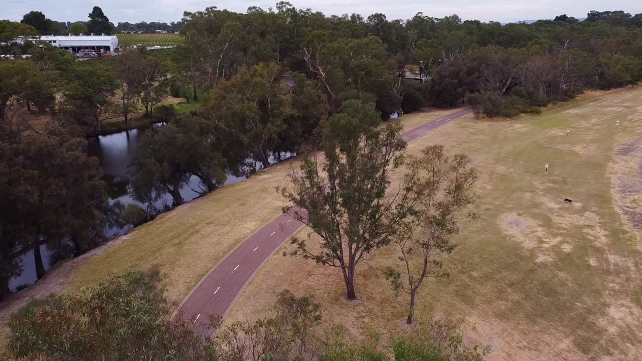 sendero con un río a la izquierda y un perro negro corriendo a la derecha