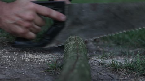 el hombre corta la rama de un árbol con una sierra de mano