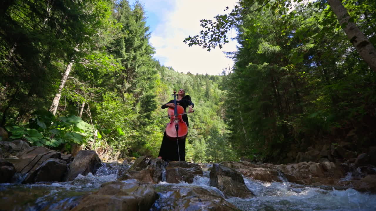 Woman with cello on green nature background. Attractive female cellist playing the musical instrument while stands on stones of shallow river in the forest.