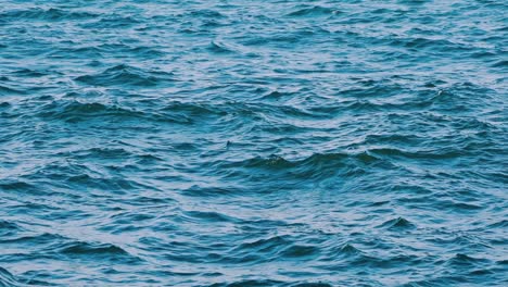 beautiful seascape. waves moving on the water at storm. blue ocean water background. slow motion.