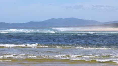 waves gently crashing on a tranquil beach