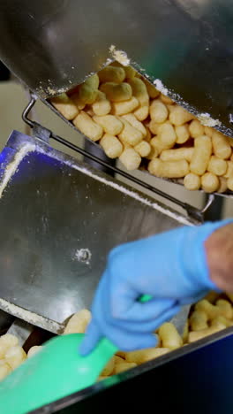 Sweet yellow crispy snacks falling on the conveyor line from opened metal tank. Maize sticks production process. Close up. Vertical video