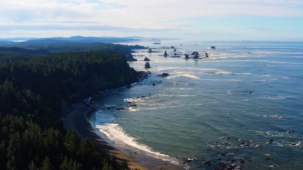 Stunning aerial drone dolly out shot of the gorgeous Third Beach in Forks, Washington with large rock formations, surrounded by a pine tree forest on cliffs, and golden sand on a warm summer morning.