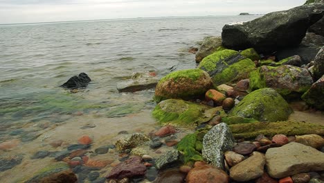 a beautiful view by the sea