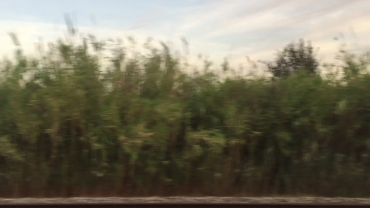 Train ride in Portugal
