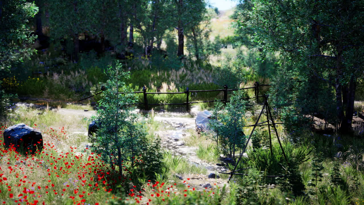 해가 지면 에 숲 이 있는 시골 을 가로지르는  ⁇ 길