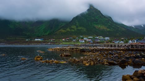 mefjord, island senja. beautiful nature norway natural landscape.