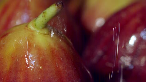 frutas de higo deliciosas climas continentales. alimentos populares mediterráneos