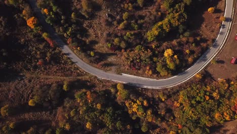 Drone-shot,-top-view,-of-a-country-road-surrounded-by-autumnal-trees