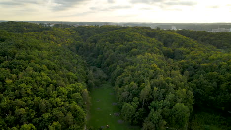 lush dense forest landscape in polanka redlowska, gdynia, poland - aerial drone shot