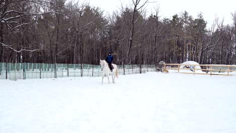 girl rides on horse in the paddock. jockey girl trains the the horse right movements. quiet winter cloudy day. a little snow falls.