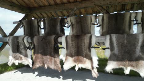 Reindeer-skin-and-blankets-for-sale-in-souvenir-shop-in-Norway,-Scandinavia---Pan-Right