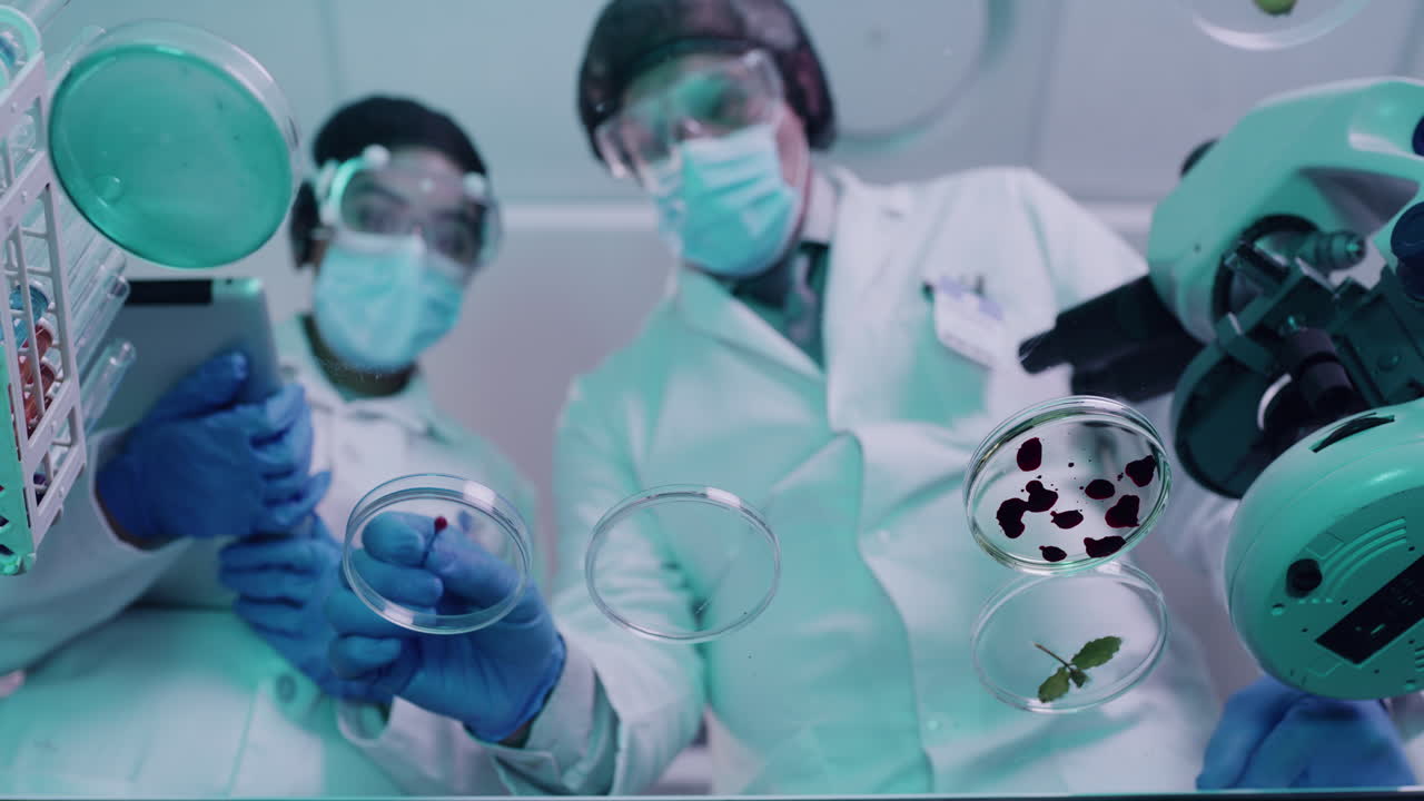 científicos covid descubriendo una cura para la enfermedad