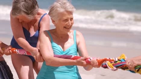 Senior-friends-playing-tug-of-war-